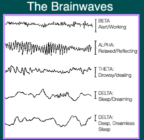 brainwaves