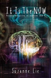 Pleiadian Perspectives Book 4